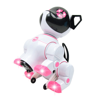 Electronic Pet Dog Toy with Light & Music